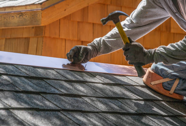 Best Asphalt Shingle Roofing  in Daphne, AL
