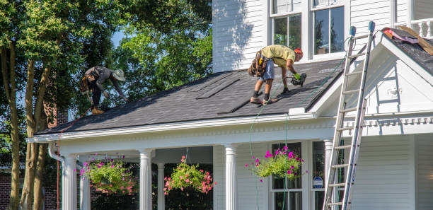 Best Storm Damage Roof Repair  in Daphne, AL